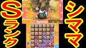 195 ニダンギル Get S メガスタート ポケとる実況 Youtube