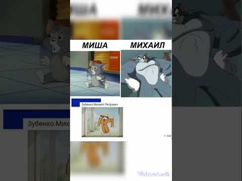 мемы