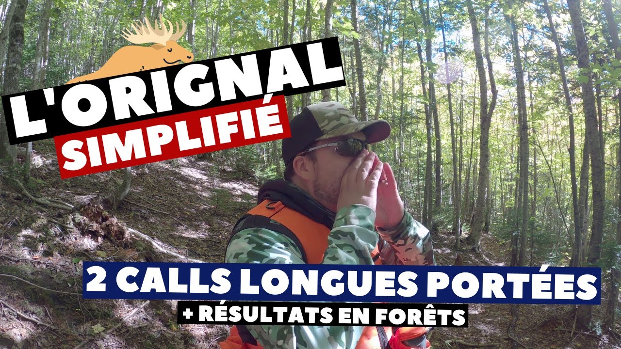 Chasse Orignal 2020 : 2 appels de longues portées! Call Maheu, plaintive | Orignal simplifié