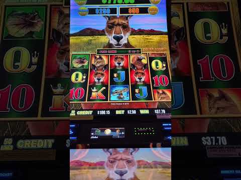 Did he just bet on all the hands? #blackjack #roobet #casino #slots