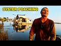 Illegally Harvesting Oysters in a Closed Bay