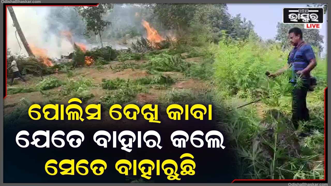 ପୋଲିସର ବଢିଲାଣି ଟେନସନ, ଯେତେ ବାହାର କଲେ ସେତେ ବାହାରୁଛି... କଣ କରିବ ପୋଲିସ ବୁଝି ପାରୁନି