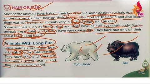 2021 22 CLASS 4 SUBJECT   EVS CHAP 7 THE WORLD OF ANIMALS PART   5