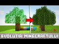 EVOLUTIA MINECRAFT-ULUI 2009-2020!