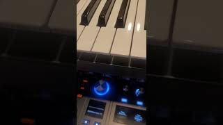 Hydrasynth - adding Delay