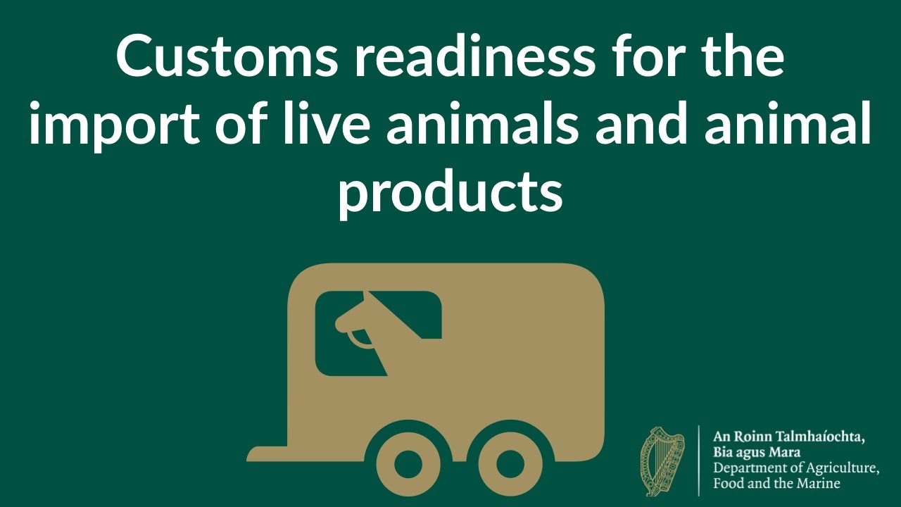 Customs Readiness Programme for the import of live animals and animal