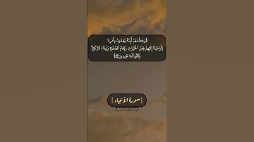 سورة الأنبياء الآية ٧١ الى ٧٣ بصوت الشيخ محمد صديق المنشاوي