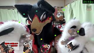 【Fursuit/獣化#154】水曜のもふもふタイム🐶🐾【ジュージュー/JuuJuu】#fursuit #獣化 #live