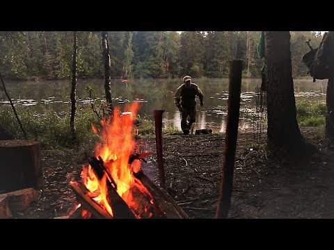 Видео: Рыбалка С Ночёвкой.Как в Тайге! Еда на Костре.Грибной Суп!Мясо на Огне!