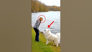 The smart dog cleaned up the trash that a young Woman had thrown into the lake@waggingtail-i1i