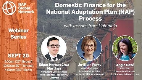 Webinar | Domestic Finance for the NAP process