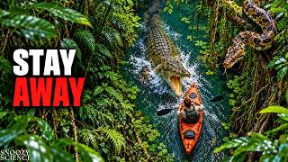 Information Why Australia’s Daintree Rainforest Is Deadlier Than the Amazon Guide