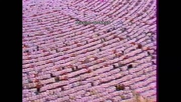 سورة فصلت [ 30 - 36 ] صلاة العشاء من المسجد الحرام الليلة 26 رمضان 1409 - لفضيلة الشيخ محمد السبيل
