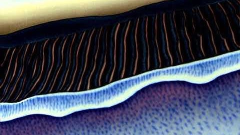 A planet using Stable Diffusion and Vision of Chaos