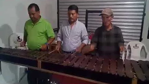 Marimba Los Primos De San Sebadtian H.