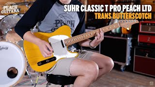 No Talking...just Tones Suhr Clic T Pro Peach Ltd - Trans Erscotch - Roasted Maple Neck