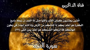 قران كريم بصوت اسلام صبحي||حالات واتس اب💙