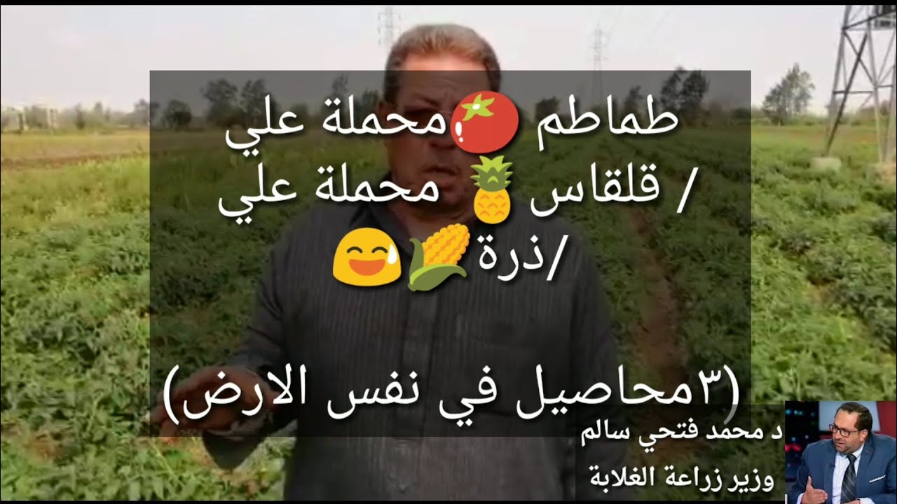 الفلاح الاراري ٣محاصيل في نفس الأرض | نماذج نجاح الزراعة الحيوية