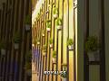 SS iron fabrication work Royal design #myfabricate #youtube #sorts #video #creator 