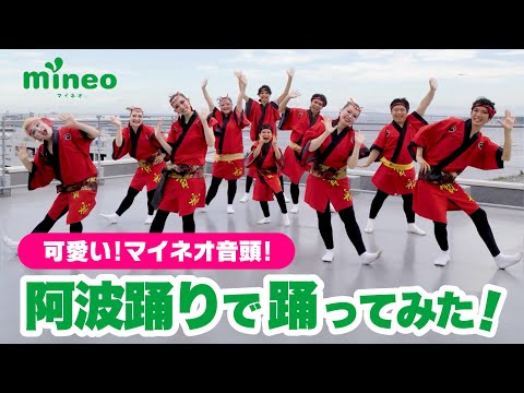 【めっちゃ可愛い】マイネオ音頭を阿波踊りアレンジで踊ってみた！