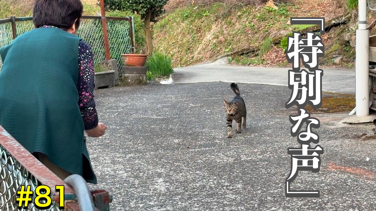 【キヨと祖母】お互い呼び合う、キヨと祖母の日常。