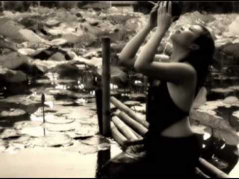 Mira ThanhTịnhKhúc (nhạc TrọngNghĩa-MộngLan, thơ TháiTúHạp) TrọngNghĩa en YouTube