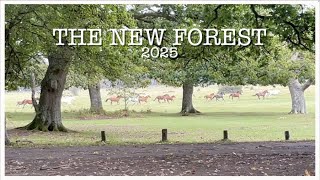 New Forest 2025