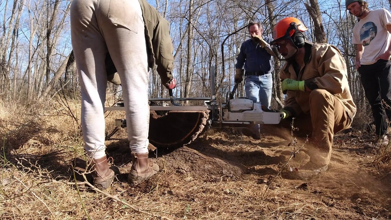 Chainsaw Milling 30" Black Walnut YouTube