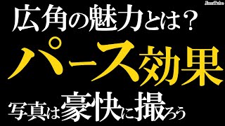 【広角レンズ】ポートレート撮影、パース効果の使い方。Nikonの一眼レフカメラD780で撮る写真。