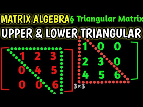 52/1000 | "Triangular Matrices: Upper & Lower Triangular Matrix Explained"
