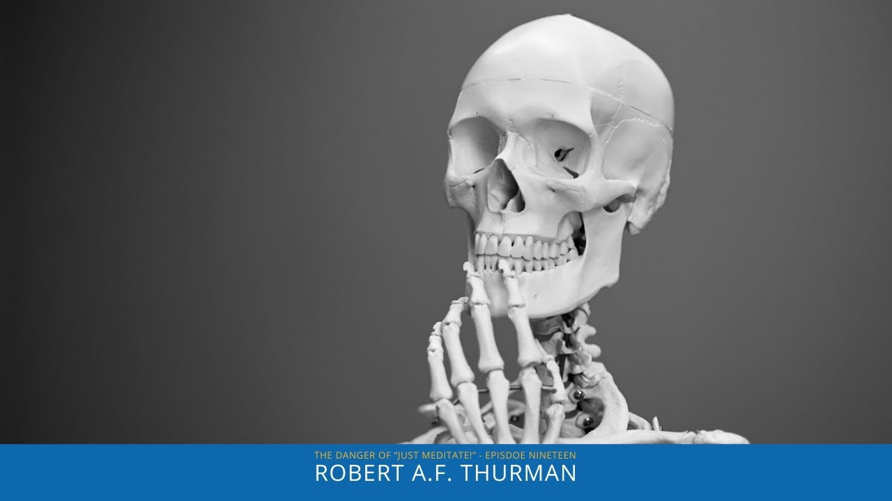 The Danger of “Just Meditate!” : Exploring Meditation with Robert Thurman