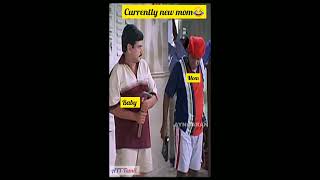 #funnyvideo #vadivelucomedy #trending #viral #reels #whatsappstatus #comedy #laugh  #shorts