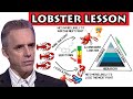 Jordan Peterson - Lobster lesson "Stand up straight with your shoulders back" (rule 1)