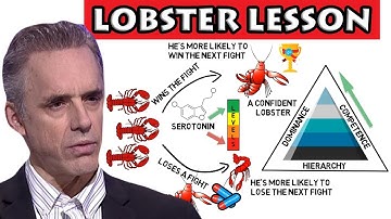 Jordan Peterson - Lobster lesson "Stand up straight with your shoulders back" (rule 1)