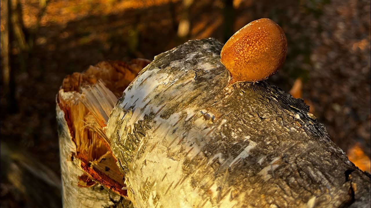 Wędrówka między skałami , wodą i historią 