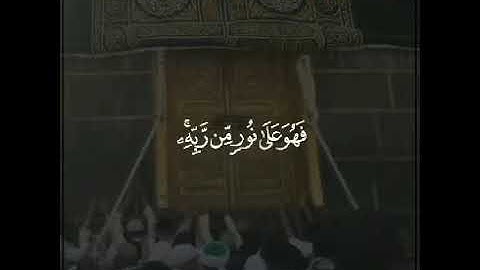 القارئ :رعد محمد الکردی 😌❤