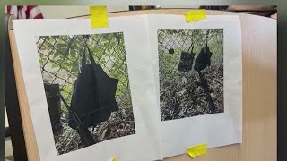 Trump assassination attempt: FBI agent spotted suspect point gun through fence