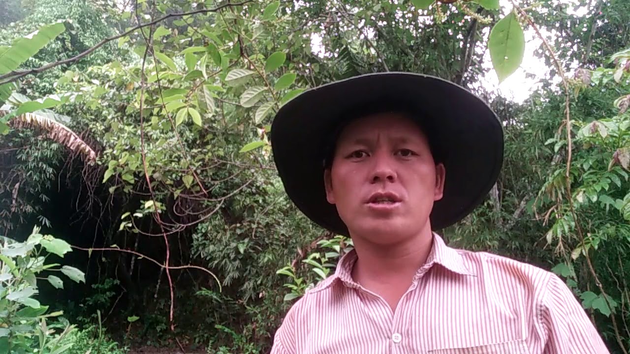 Zaj xai cais txij nkawm