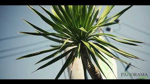 Event Documentation - Panorama Garden | JR Production