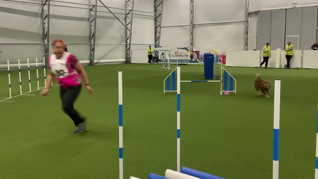 Pulma B-hyppyrata 4.10.2025 pikkumaksi1 Mustasaari