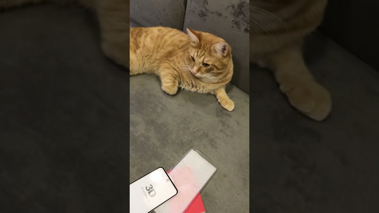 Копия айфона. W&O X200 4g. Обзор. Часть 4.