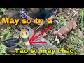 Sinh Tồn Cách Ly Ngày 5| PitBull Tôm Lần Đầu Chạm Mặt Tử Thần