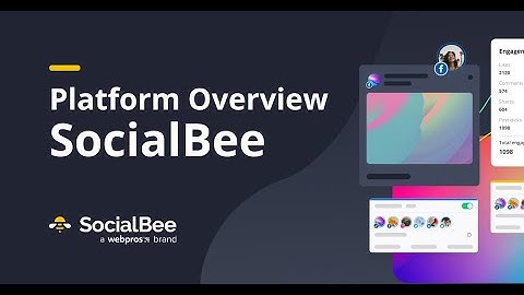 SocialBee Overview | Social Media Management Tool