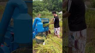 Model No.:BB-TG80 CapacityPaddyrice≧750kg/hour Wheat≧600kg/hour#machine #farming #agriculture # Model No.:BB-TG80 CapacityPaddyrice≧750kg/hour Wheat≧600kg/hour#machine #farming #agriculture #