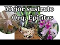 MEJOR sustrato para orquideas epifitas | Como transplantar orquídeas