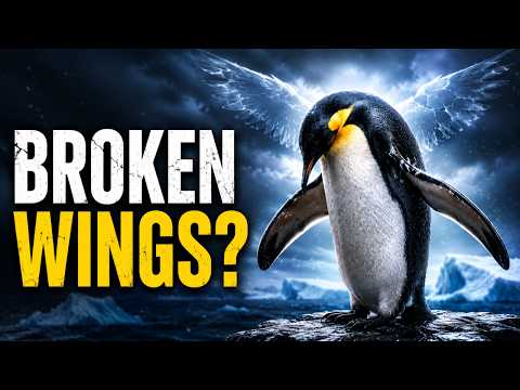 Why Penguins Cannot Fly