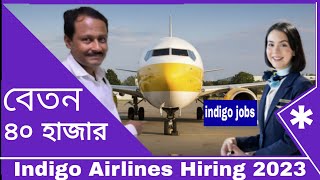 indigo airlines job vacancy 2023 for freshers | job | jobs