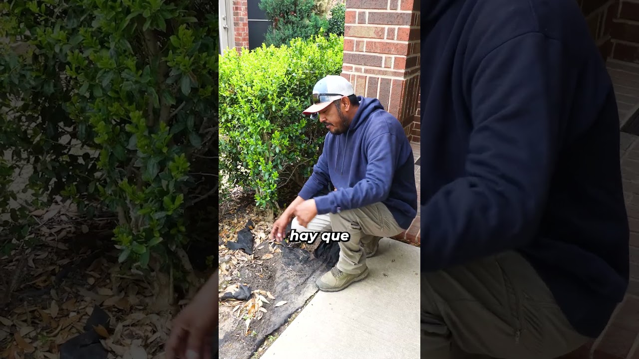 Por qué la tela para jardinería no funciona