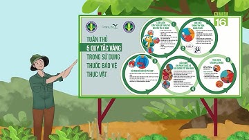 5 QUY TẮC VÀNG - HƯỚNG DẪN AN TOÀN KHI SỬ DỤNG THUỐC BVTV | VTC16