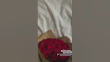 اغنيه محمد عبدو زرعتك ورده حمرا 